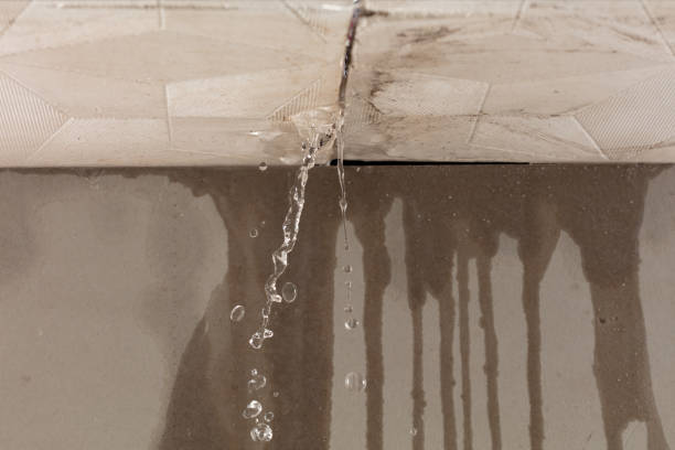 Professional Burst Pipe Cleanup technician working in Morrison, TN